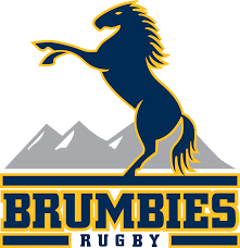 brumbies